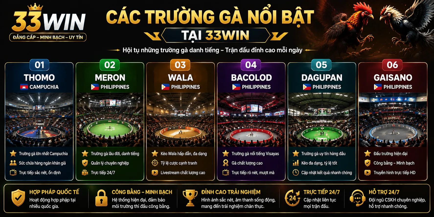 Các trường gà nổi bật
