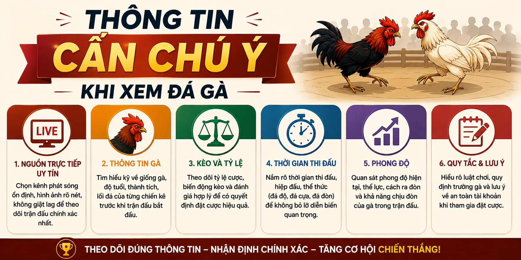 Lưu ý khi xem trực tiếp đá gà