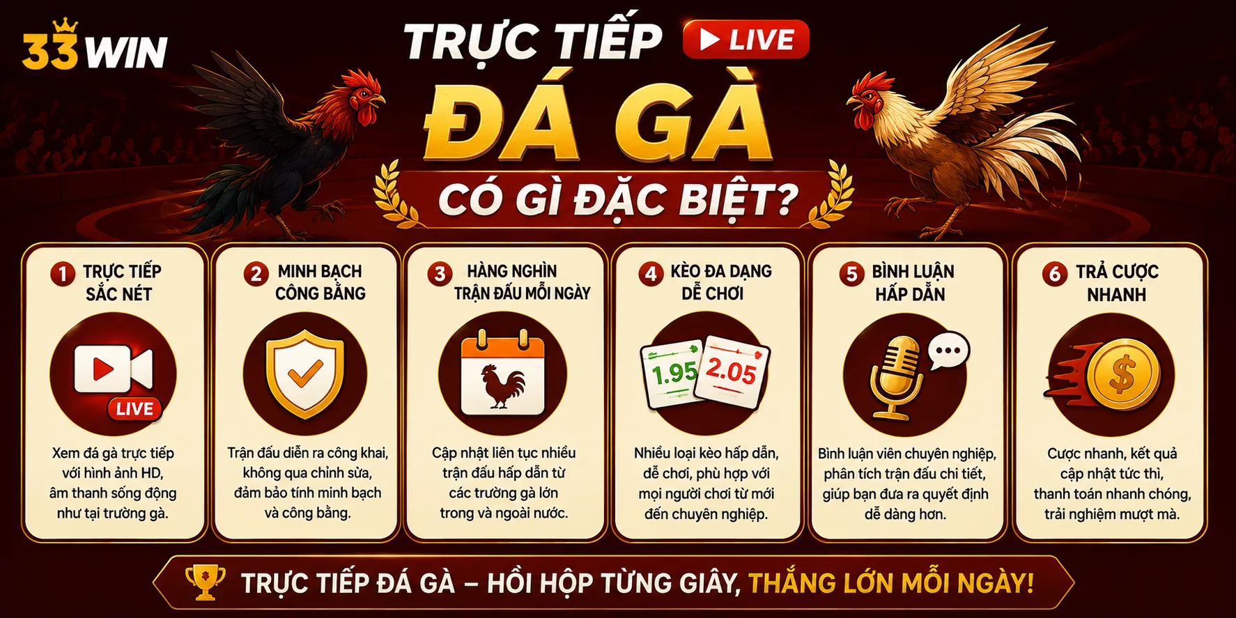 Trực tiếp đá gà tại 33WIN